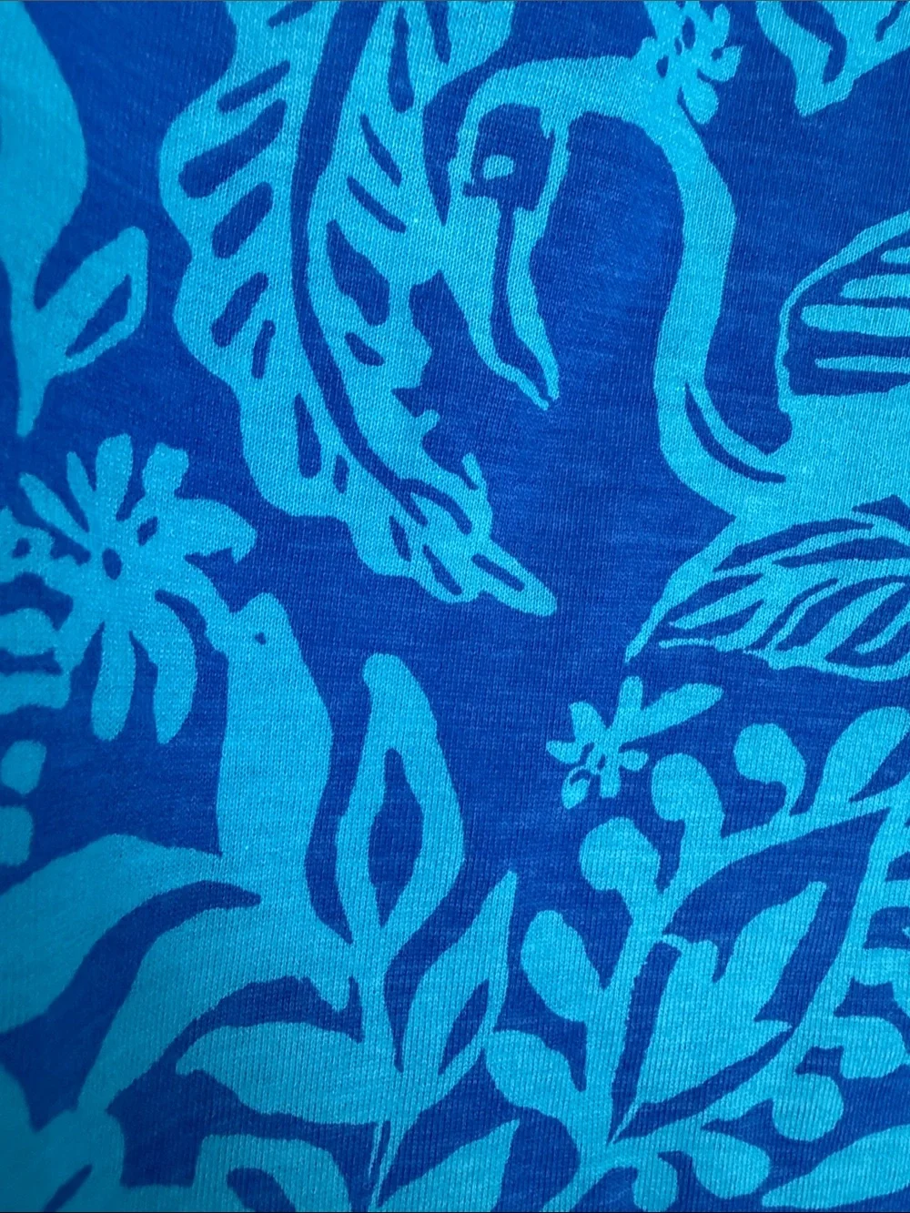 Lilly Pulitzer Blue Floral Short-Sleeve A-Line Dress XXS